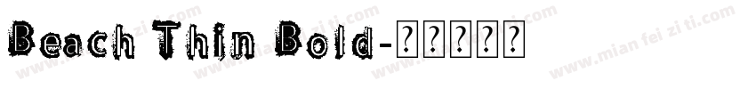 Beach Thin Bold字体转换